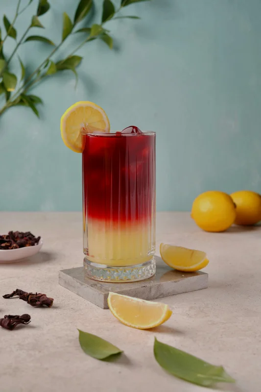 Refreshing Hydration Drinks for Daily Wellness